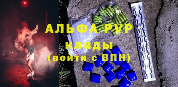 эйфоретик Бородино