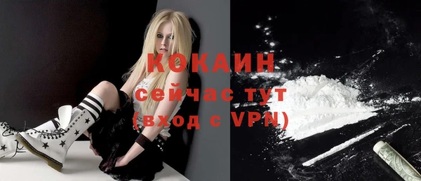 эйфоретик Бородино