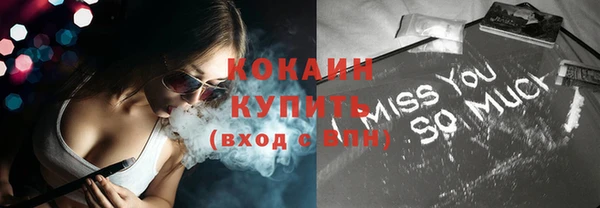 эйфоретик Бородино