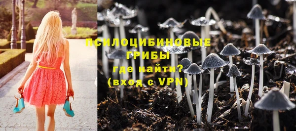 эйфоретик Бородино