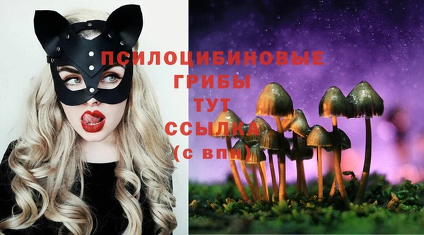 эйфоретик Бородино