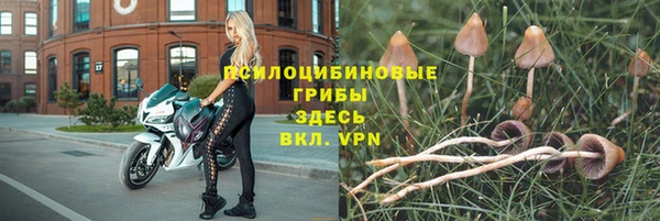 mdpv Бугульма