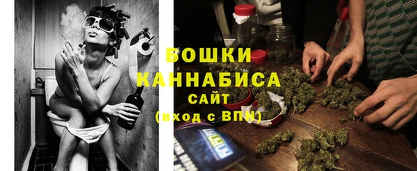 эйфоретик Бородино