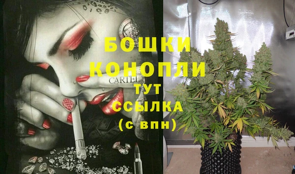 эйфоретик Бородино